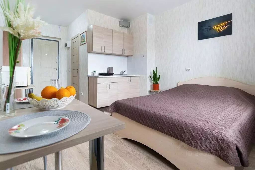 Студия Новосибирская область, Новосибирск ул. Титова, 257 (24.0 м) - Фото 0