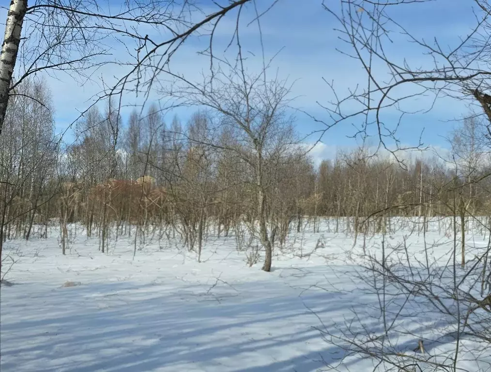 Участок в Тверская область, Кимрский муниципальный округ, Деревня ... - Фото 1