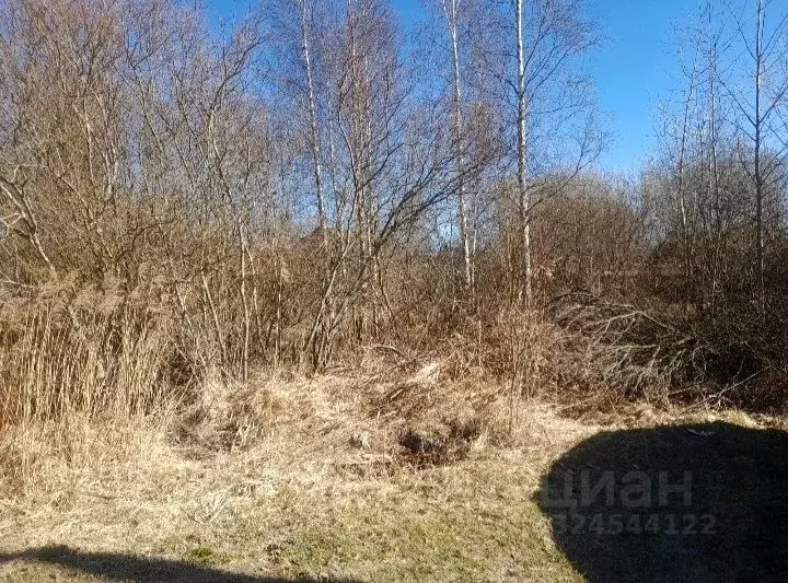 Участок в Ленинградская область, Никольское Тосненский район, Сокол-2 ... - Фото 2