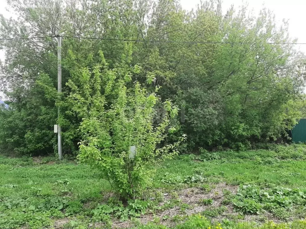 Участок в село Теньки, улица Татарстан (37 м) - Фото 2