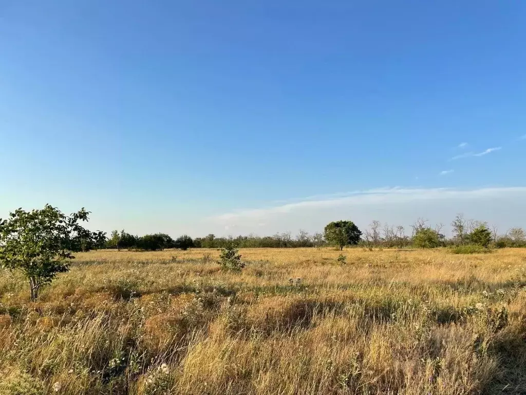 Участок в Краснодарский край, Ейское городское поселение, пос. ... - Фото 2