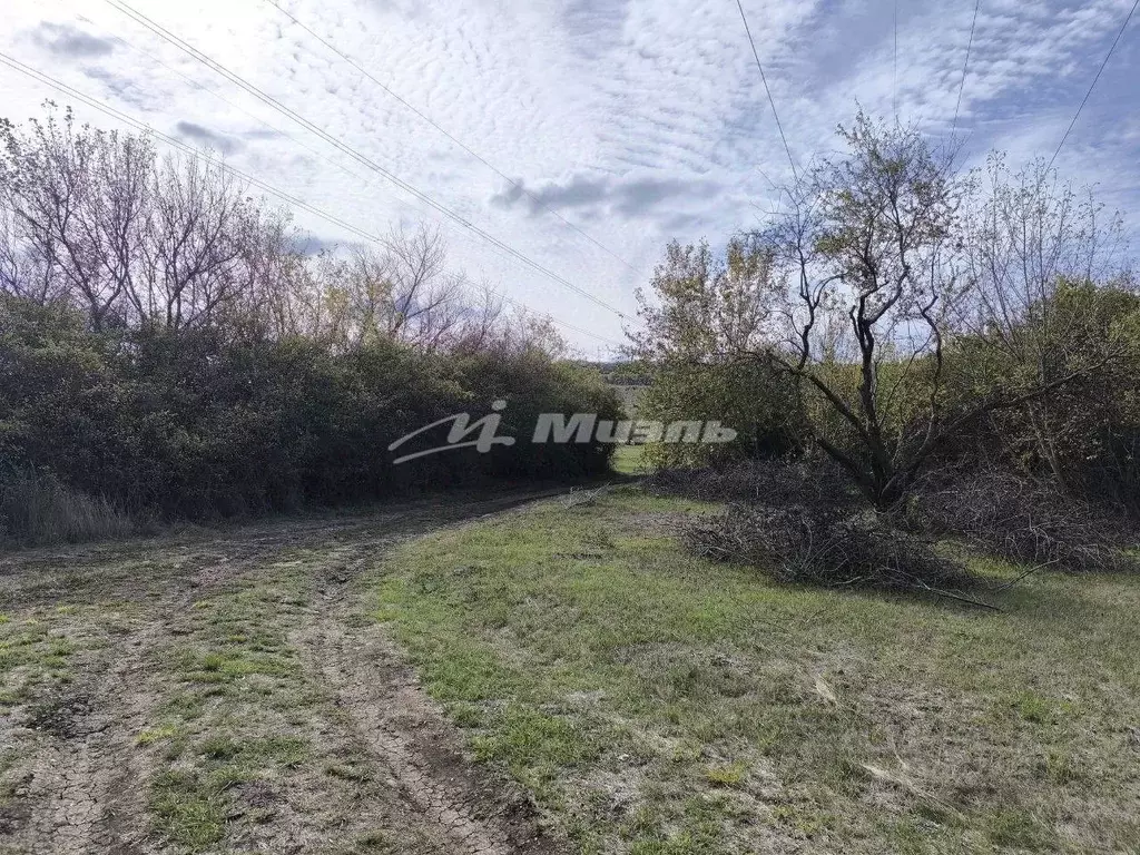 Участок в Крым, Симферопольский район, Перовское с/пос, Дружба садовое ... - Фото 1