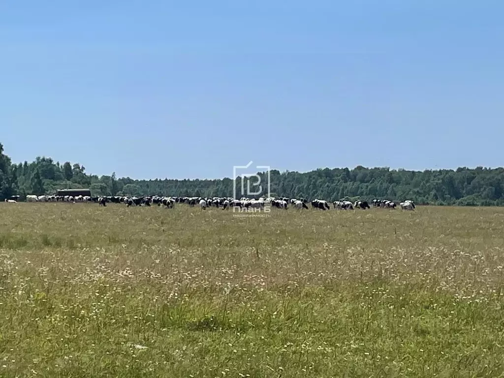 Производственное помещение в Калужская область, Износковский ... - Фото 2