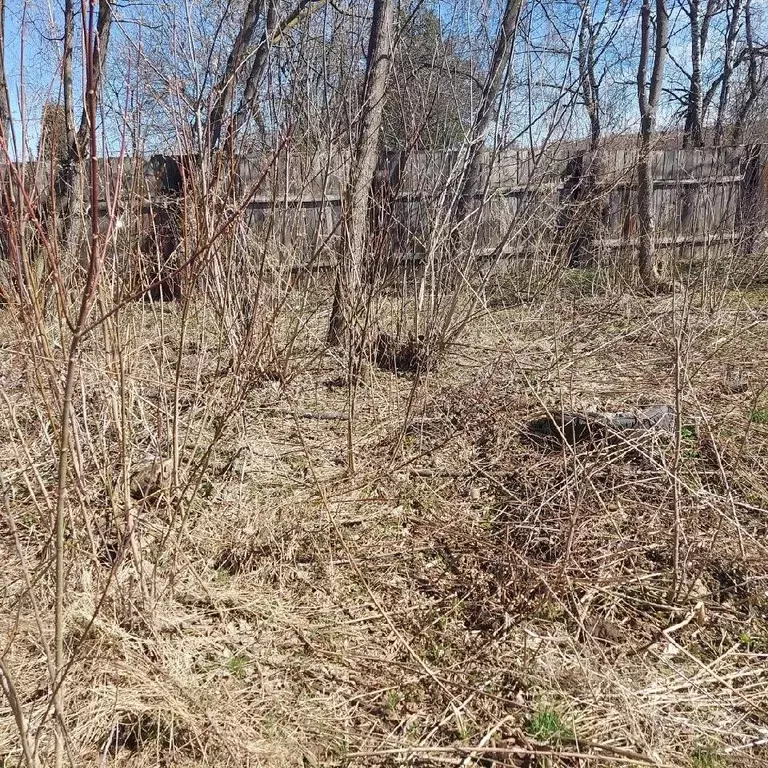 Участок в Московская область, Богородский городской округ, д. Пешково ... - Фото 0