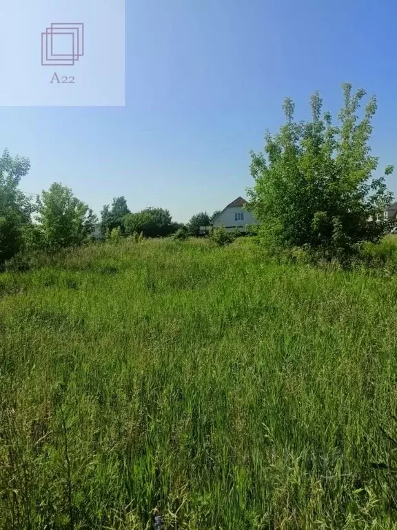 Участок в Алтайский край, Барнаул городской округ, пос. Бельмесево, ... - Фото 1