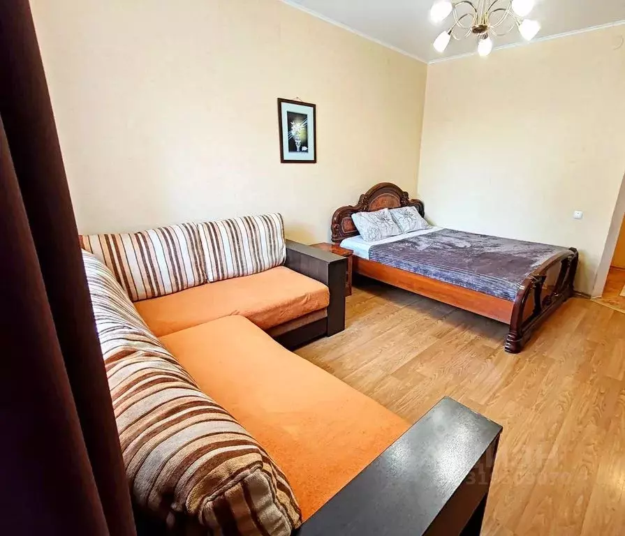 1-к кв. Оренбургская область, Оренбург ул. Родимцева, 20 (42.0 м) - Фото 1