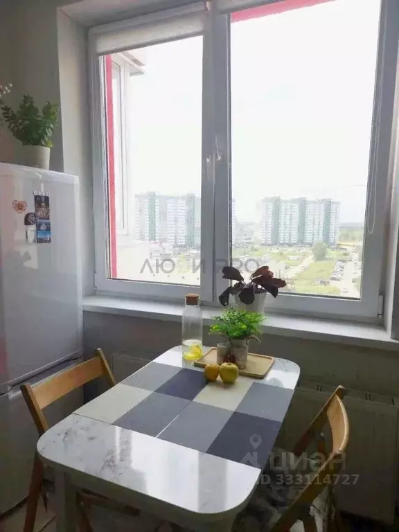 Студия Алтайский край, Барнаул Балтийская ул., 101 (26.9 м) - Фото 2