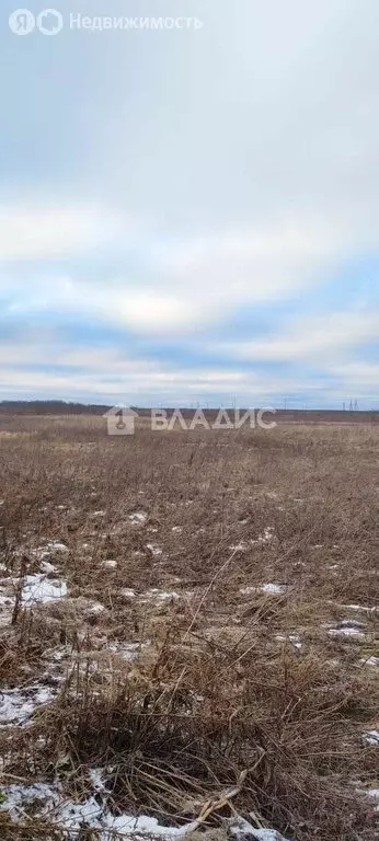 Участок в Вологодский муниципальный округ, посёлок Харачево, ... - Фото 1