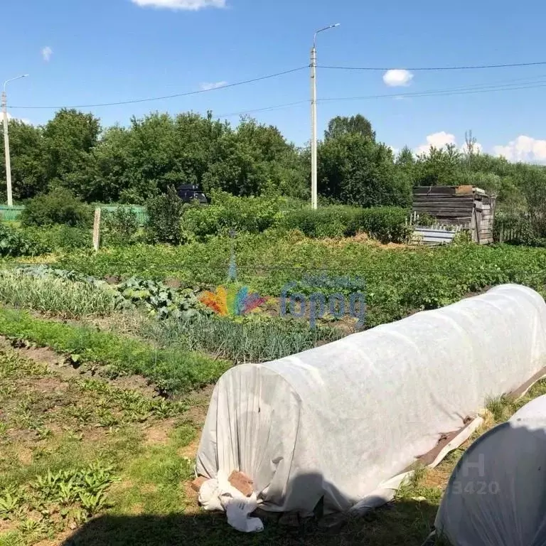 Дом в Кемеровская область, Новокузнецкий муниципальный округ, с. ... - Фото 2