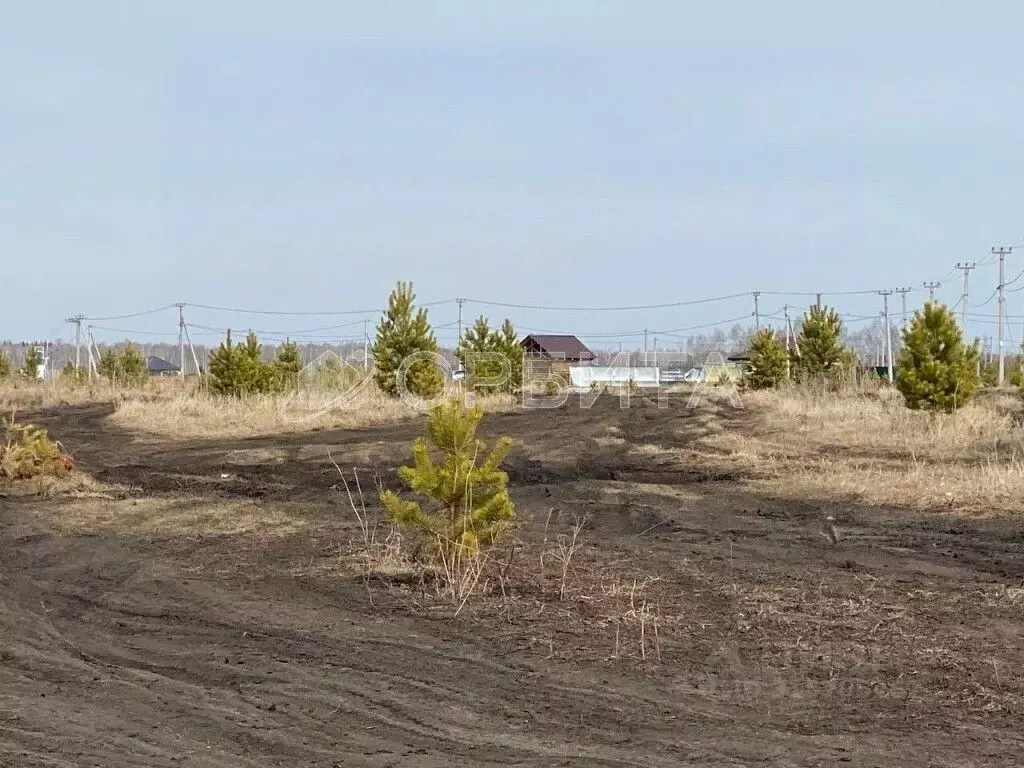Участок в Тюменская область, Тюменский район, д. Елань 14 (4.19 сот.) - Фото 1