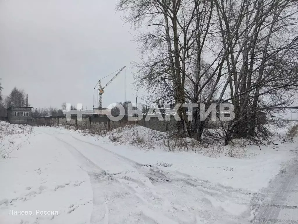 Производственное помещение в Новосибирская область, Искитимский район, ... - Фото 2