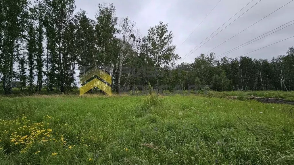 Участок в Омская область, Омский район, Пушкинское с/пос, д. Ракитинка ... - Фото 1