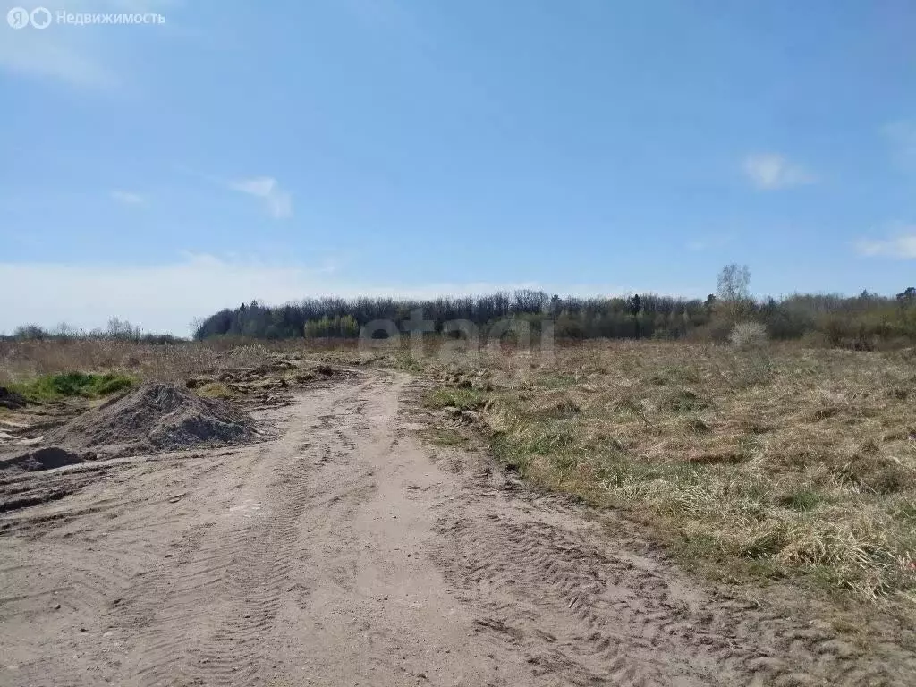 Участок в Зеленоградск, Юбилейная улица (7.45 м) - Фото 1