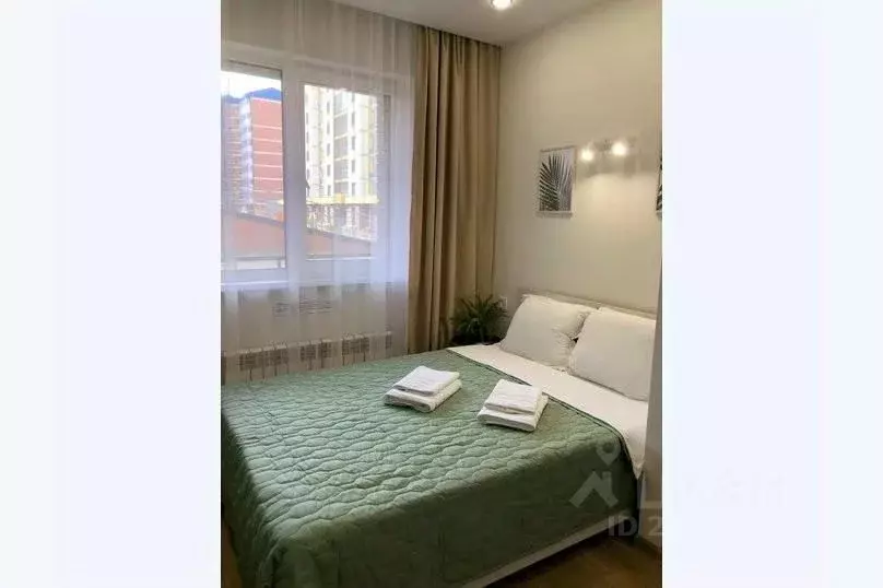 1-к кв. Иркутская область, Иркутск Депутатская ул., 87/9 (20.0 м) - Фото 0