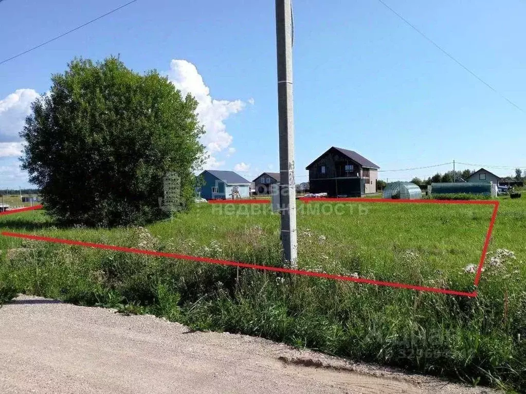 Участок в Новгородская область, Шимское городское поселение, д. Бор ... - Фото 1