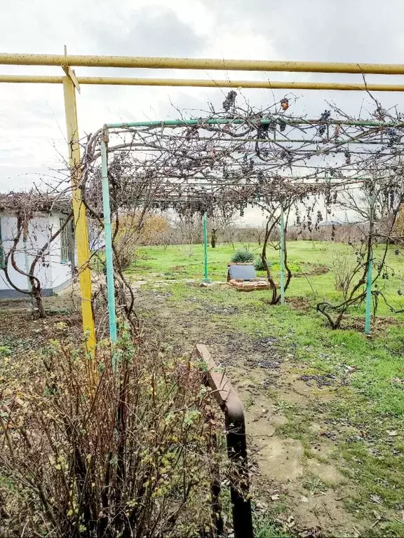 Дом в Крым, Раздольненский район, Чернышевское с/пос, с. Кропоткино ... - Фото 2