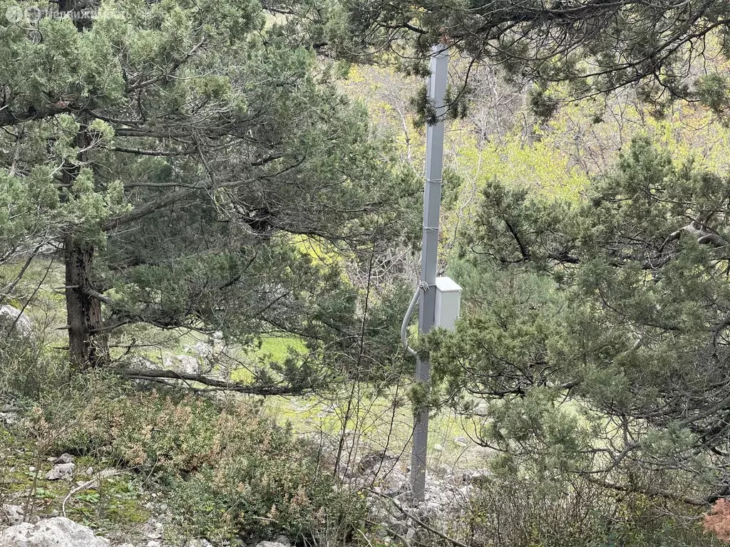 Участок в Республика Крым, муниципальный округ Ялта, посёлок ... - Фото 1