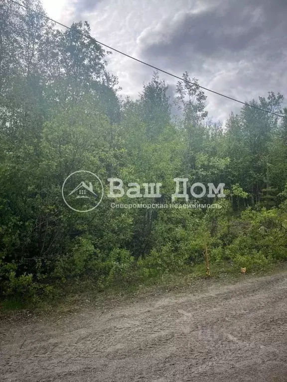 Участок в Мурманская область, Кольский район, Кильдинстрой городское ... - Фото 2
