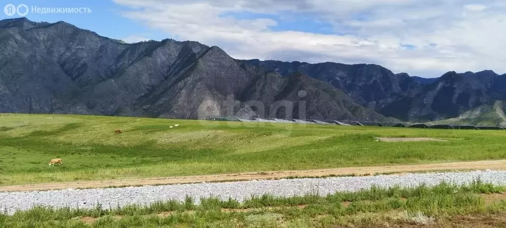 Участок в Онгудайский район, село Малый Яломан (2.62 м) - Фото 0