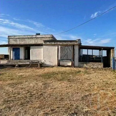 Помещение свободного назначения в Крым, Раздольненский район, ... - Фото 1