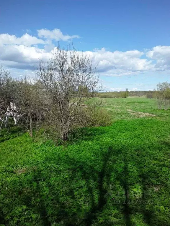 Участок в Новгородская область, Солецкий муниципальный округ, д. ... - Фото 0