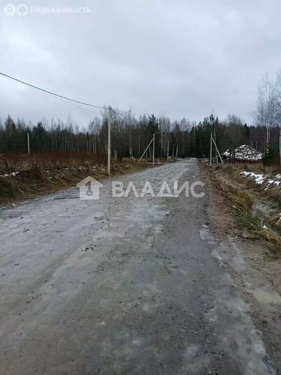 Участок в Пениковское сельское поселение, деревня Сойкино, улица Петра ... - Фото 1