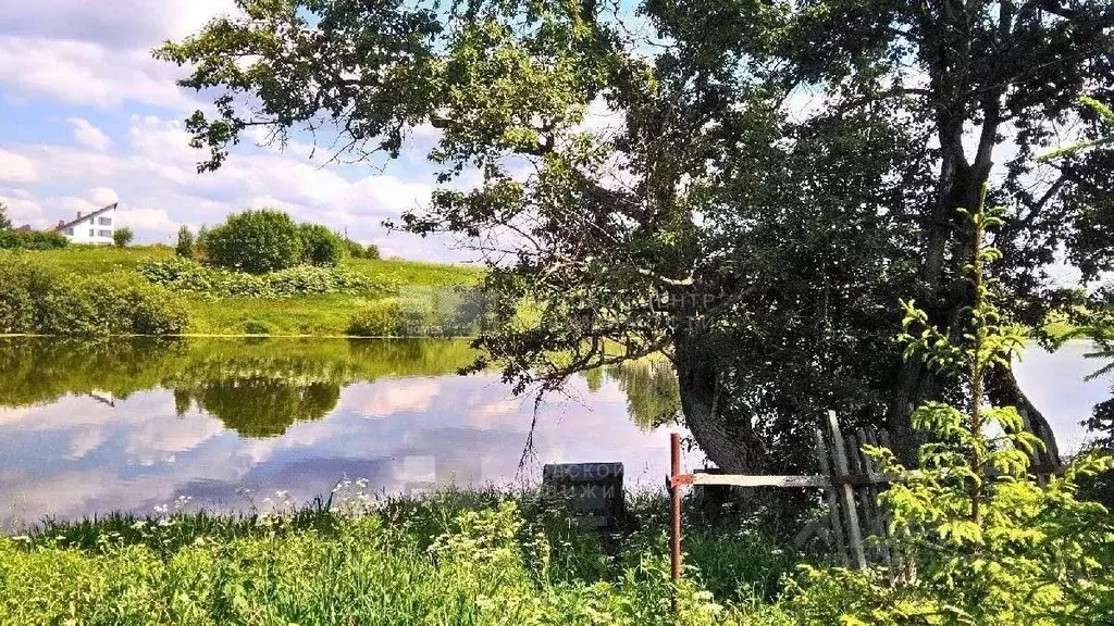 Участок в Московская область, Пушкинский городской округ, Софрино пгт ... - Фото 2