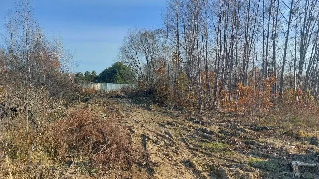Участок в Хабаровский край, Хабаровский район, Осиновореченское с/пос, ... - Фото 2