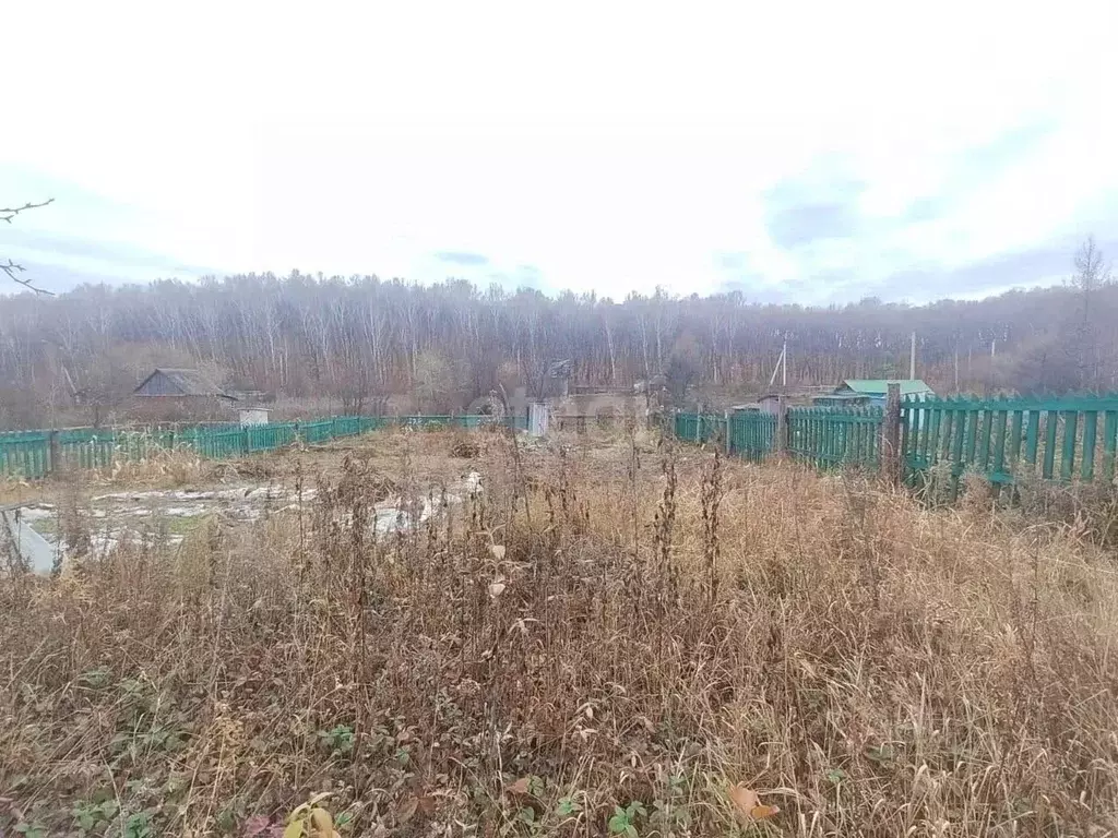 Участок в Амурская область, Благовещенский район, Звезда СТ  (8.7 ... - Фото 0