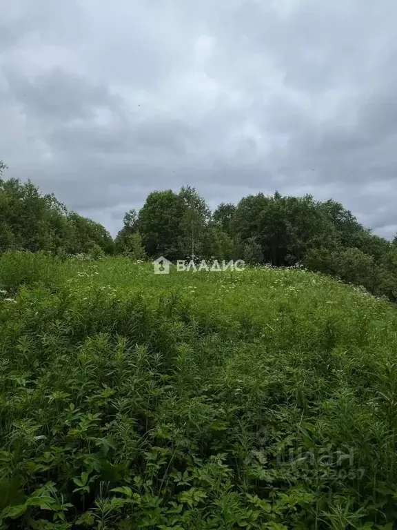 Участок в Ленинградская область, Лодейнопольский район, Алеховщинское ... - Фото 2