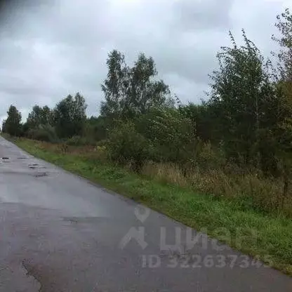 Участок в Нижегородская область, Богородский муниципальный округ, д. ... - Фото 2