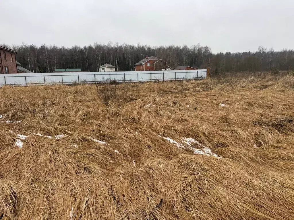 Участок в Московская область, Богородский городской округ, д. Горки ... - Фото 2