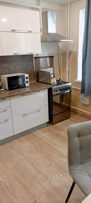 1-к кв. Московская область, Пушкинский городской округ, с. Левково 30 ... - Фото 1