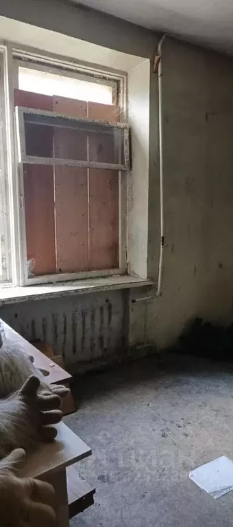 Помещение свободного назначения в Пермский край, Березники ул. ... - Фото 2