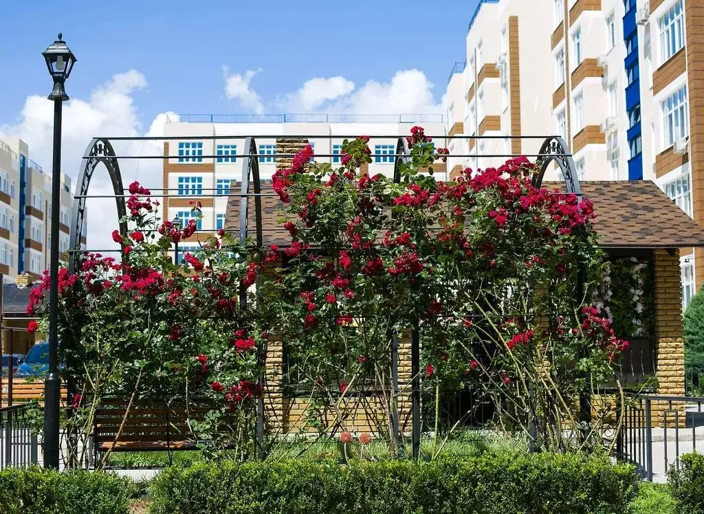 1-к кв. Крым, Евпатория ул. Полупанова, 27И (48.0 м) - Фото 2