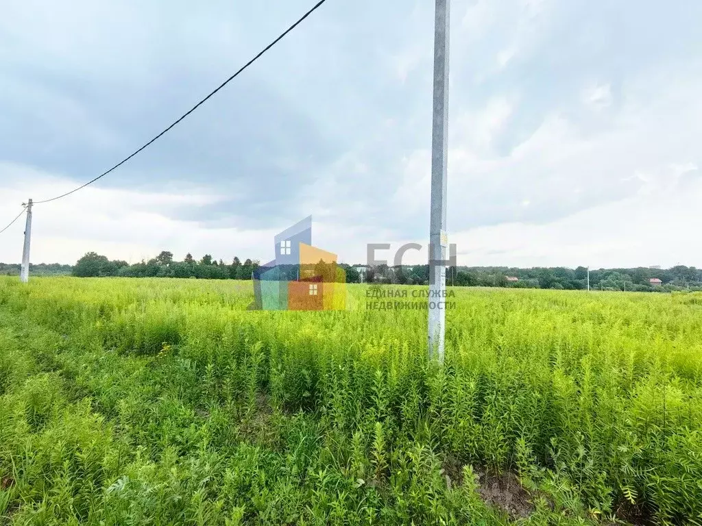 Участок в Тульская область, Тула городской округ, д. Малевка ул. ... - Фото 2