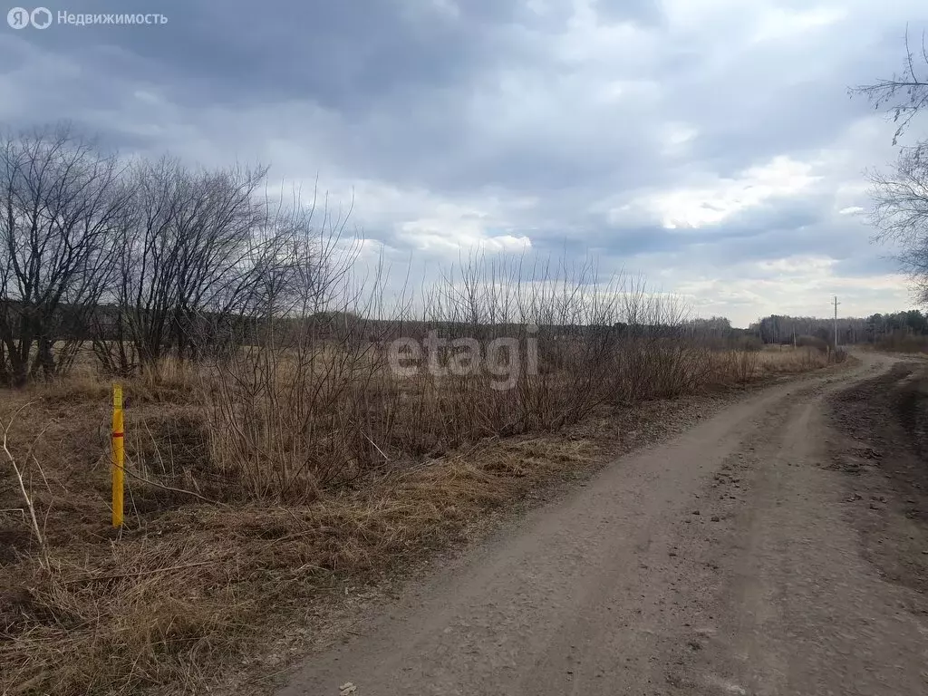 Участок в Курганская область, Щучанский муниципальный округ, деревня ... - Фото 0