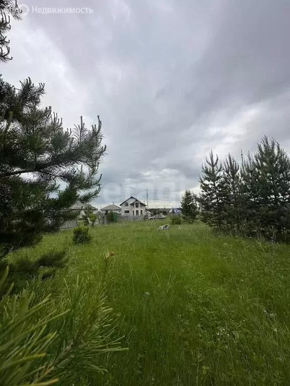 Участок в Шадринск, Неглинная улица (8.2 м) - Фото 0