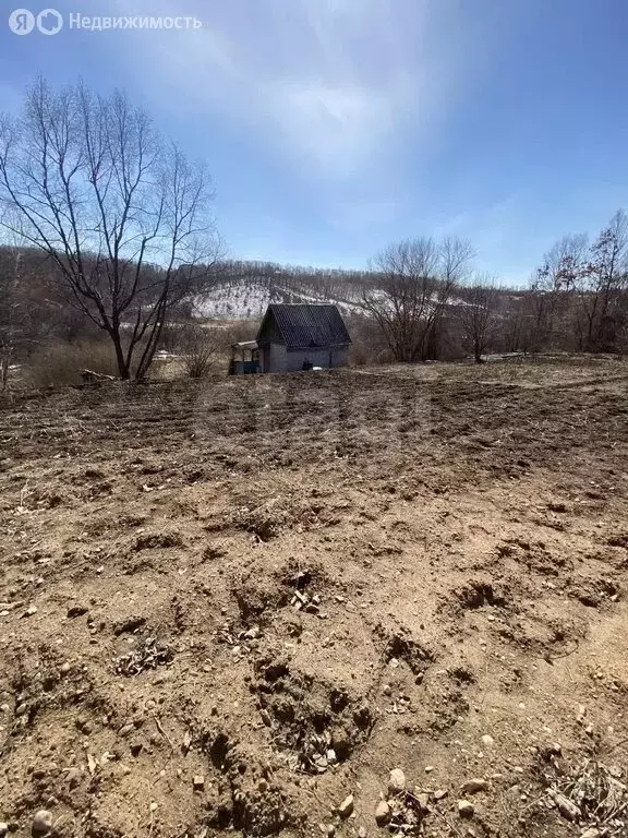 Участок в Амурская область, Благовещенск (10 м) - Фото 2