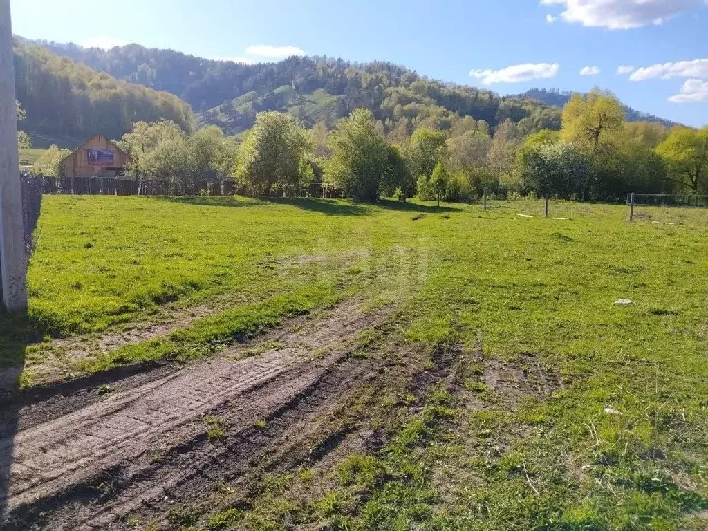 Участок в Алтай, Майминский район, с. Бирюля ул. Молодежная (12.0 ... - Фото 1
