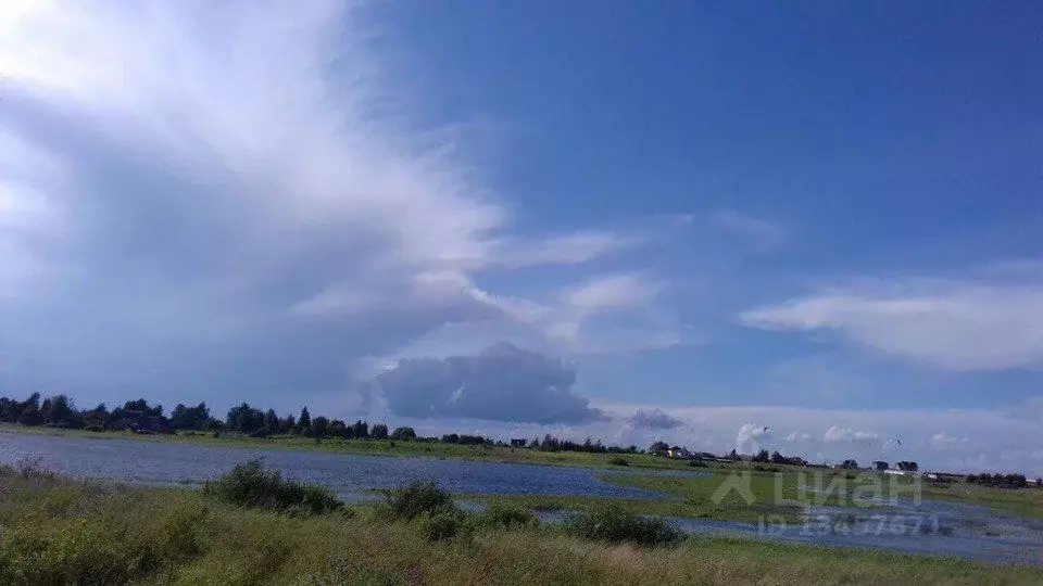 Участок в Новгородская область, Новгородский район, Ракомское с/пос, ... - Фото 0