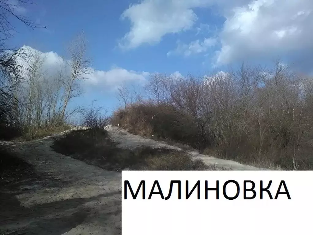 Участок в Калининградская область, Зеленоградск пос. Малиновка,  (10.0 ... - Фото 0
