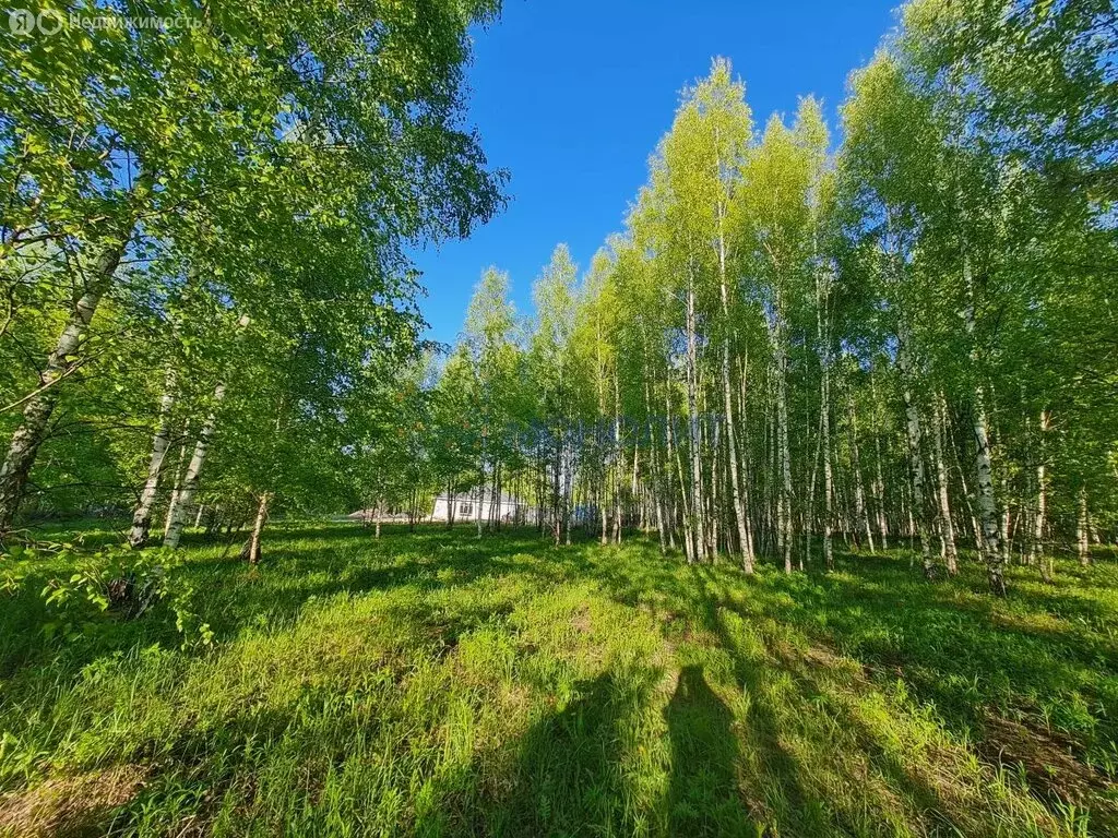 Участок в Нижегородская область, Кстовский муниципальный округ, село ... - Фото 0