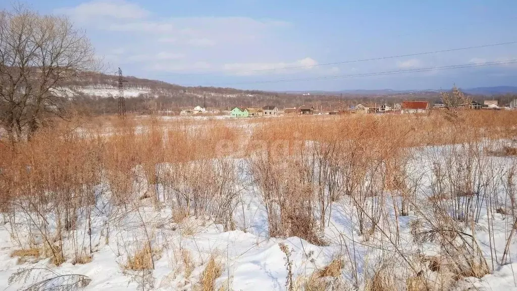 Участок в Приморский край, Надеждинский район, Наследник ДНТ  (15.0 ... - Фото 0