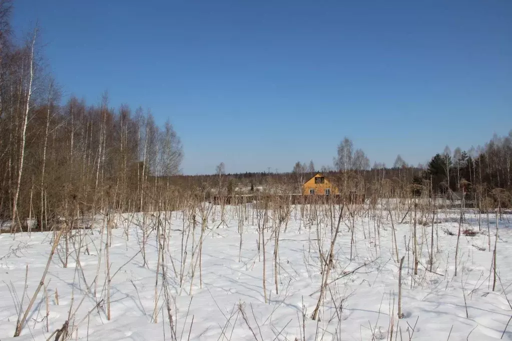Участок в Московская область, Шаховская муниципальный округ, д. Юрьево ... - Фото 1