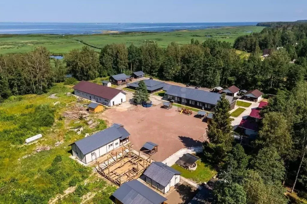 Участок в Ленинградская область, Ломоносовский район, Лебяженское ... - Фото 1
