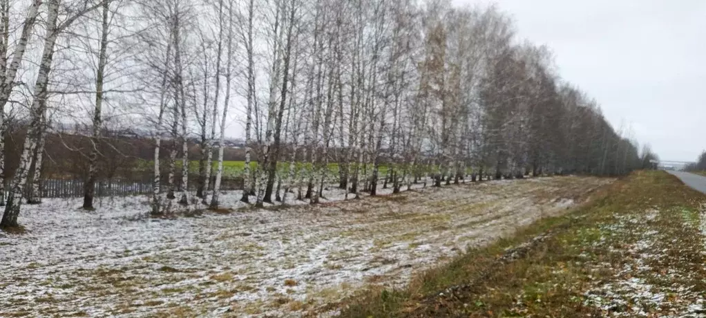 Дом в Нижегородская область, Сеченовский муниципальный округ, с. ... - Фото 1