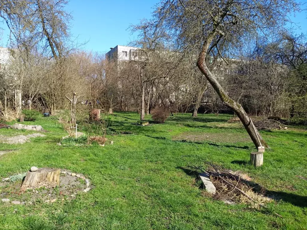 Участок в Калининградская область, Калининград ул. Адмирала Макарова ... - Фото 0