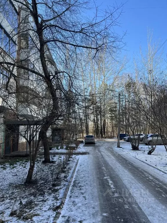 3-к кв. Красноярский край, Красноярск ул. Академгородок, 11 (65.5 м) - Фото 2