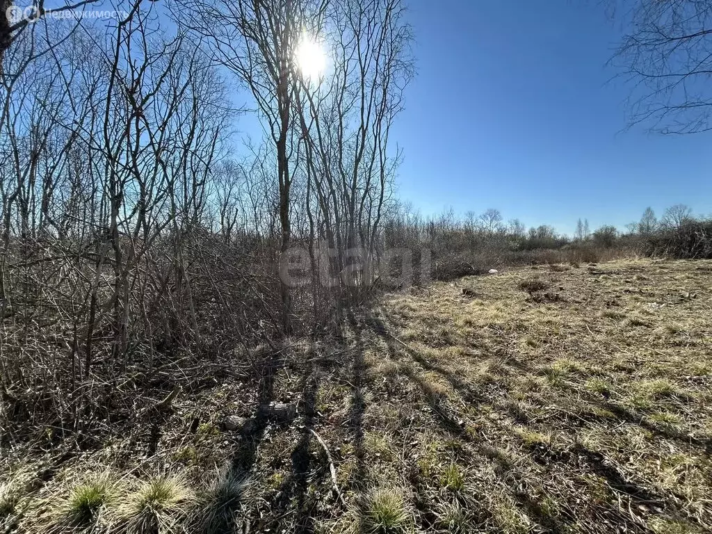 Участок в деревня Дуброво, Восточная улица (10 м) - Фото 1